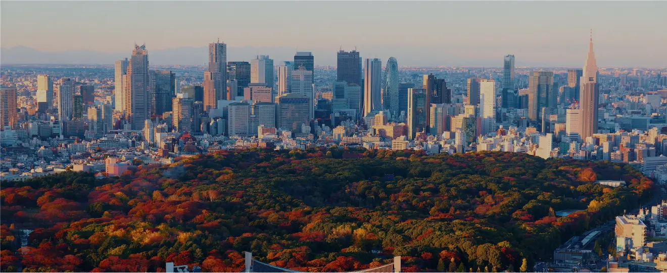 東京代代木公園